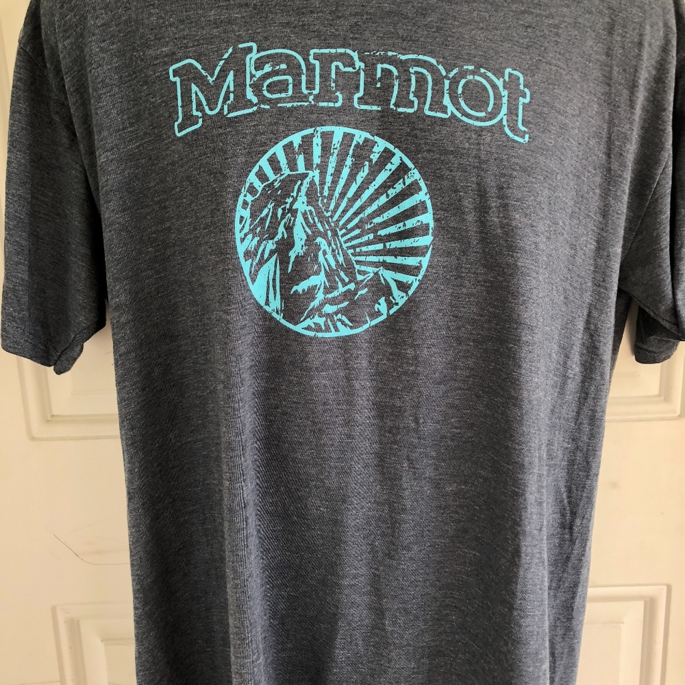 Marmot blue large graphic tee